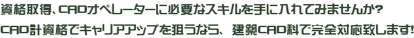 サブタイトル